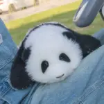 Hehua Panda Doll 3 months - Image 6