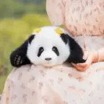 Heye Panda Doll 3 Months - Image 6