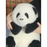 5-month-old Hehua handmade simulated panda doll large size sheepskin plush toy