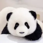 5-month-old Menglan handmade simulation panda doll pillow gift girl wool plush toy