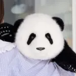 5-month-old Menglan handmade simulation panda doll pillow gift girl wool plush toy