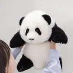 5-month-old Menglan handmade simulation panda doll pillow gift girl wool plush toy