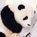 6-month-old Fubao handmade simulated panda doll large size sheepskin plush toy