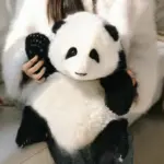 Hehua Panda Doll 6 Months - Image 11