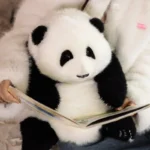 Hehua Panda Doll 6 Months - Image 6