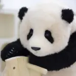 6-month-old Fubao handmade simulated panda doll large size sheepskin plush toy