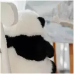 6-month-old Hehua handmade simulation panda doll pillow gift girl wool plush toy