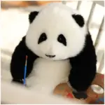 6-month-old Hehua handmade simulation panda doll pillow gift girl wool plush toy