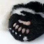 3-month-old Hehua handmade simulated panda doll large size sheepskin plush toy
