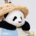 Menglan Panda Doll 3 Months - Image 8